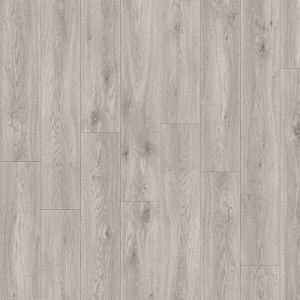фото Дуб Сьерра (Sierra Oak 58936)
